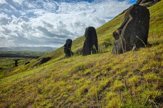 Moai at Rau Raraku